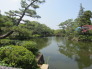 狭山池公園 「みずほ10景」「多摩川50景」に選ばれたことのある公園。
春のころには満開の桜が見られる名所です。 1283m